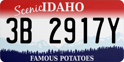 ID license plate 3B2917Y