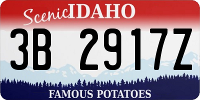 ID license plate 3B2917Z