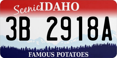 ID license plate 3B2918A