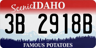ID license plate 3B2918B