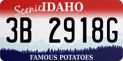 ID license plate 3B2918G