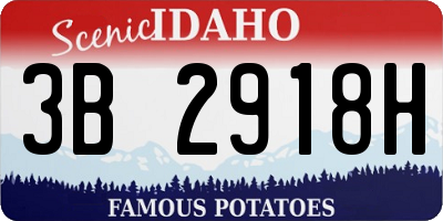 ID license plate 3B2918H
