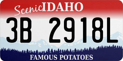 ID license plate 3B2918L