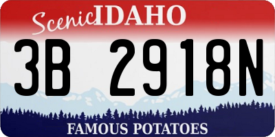 ID license plate 3B2918N