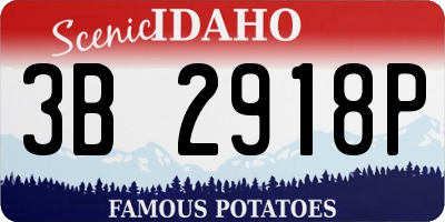 ID license plate 3B2918P