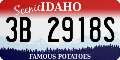 ID license plate 3B2918S