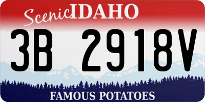 ID license plate 3B2918V