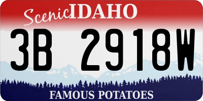 ID license plate 3B2918W