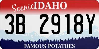 ID license plate 3B2918Y
