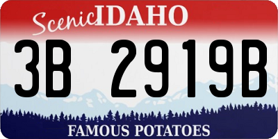 ID license plate 3B2919B
