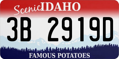 ID license plate 3B2919D
