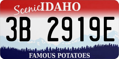 ID license plate 3B2919E