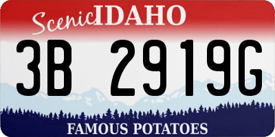 ID license plate 3B2919G