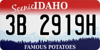 ID license plate 3B2919H