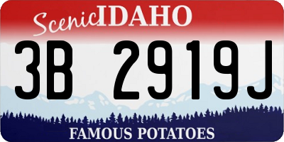 ID license plate 3B2919J