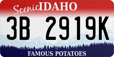 ID license plate 3B2919K
