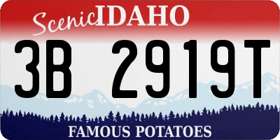 ID license plate 3B2919T