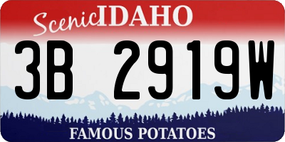 ID license plate 3B2919W