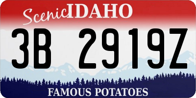 ID license plate 3B2919Z