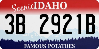 ID license plate 3B2921B