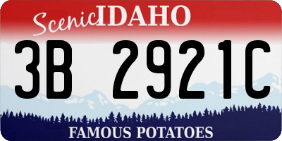 ID license plate 3B2921C