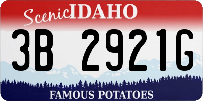 ID license plate 3B2921G