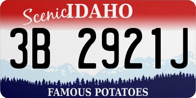 ID license plate 3B2921J