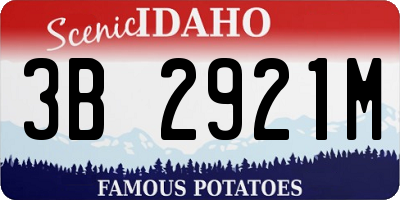 ID license plate 3B2921M