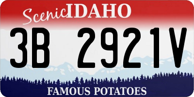 ID license plate 3B2921V
