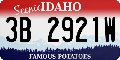 ID license plate 3B2921W