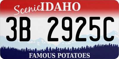 ID license plate 3B2925C