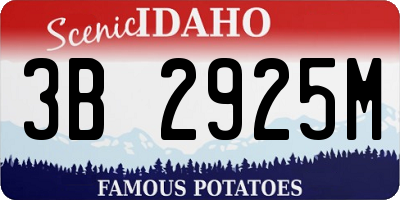 ID license plate 3B2925M