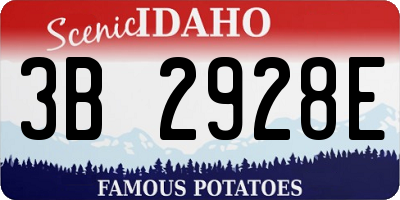 ID license plate 3B2928E