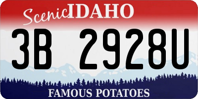 ID license plate 3B2928U