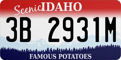ID license plate 3B2931M