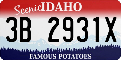 ID license plate 3B2931X