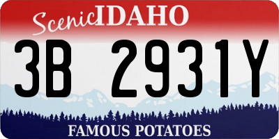 ID license plate 3B2931Y