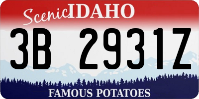 ID license plate 3B2931Z