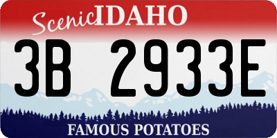 ID license plate 3B2933E