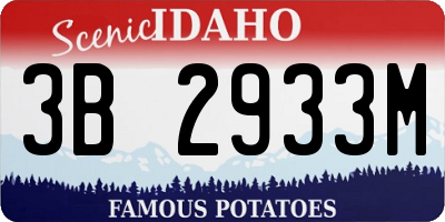 ID license plate 3B2933M