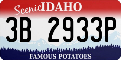 ID license plate 3B2933P