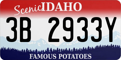 ID license plate 3B2933Y