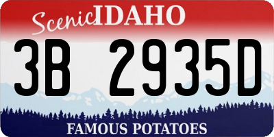 ID license plate 3B2935D