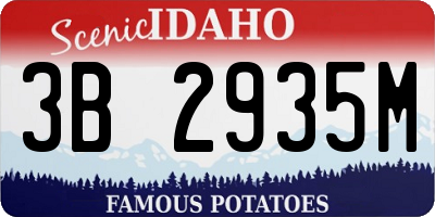 ID license plate 3B2935M
