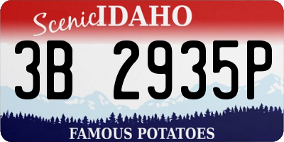 ID license plate 3B2935P