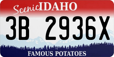 ID license plate 3B2936X