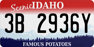ID license plate 3B2936Y