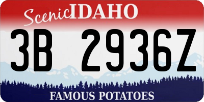 ID license plate 3B2936Z
