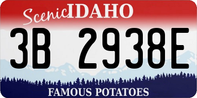 ID license plate 3B2938E