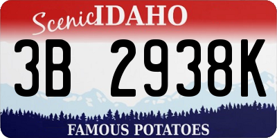 ID license plate 3B2938K